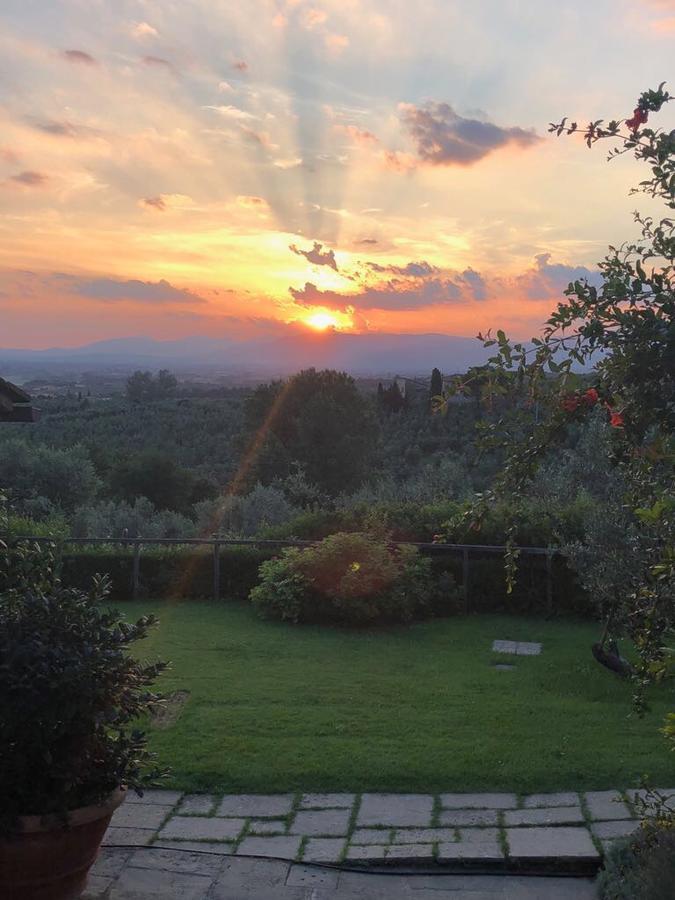 Podere Jana Antico Frantoio Vinci Exterior foto