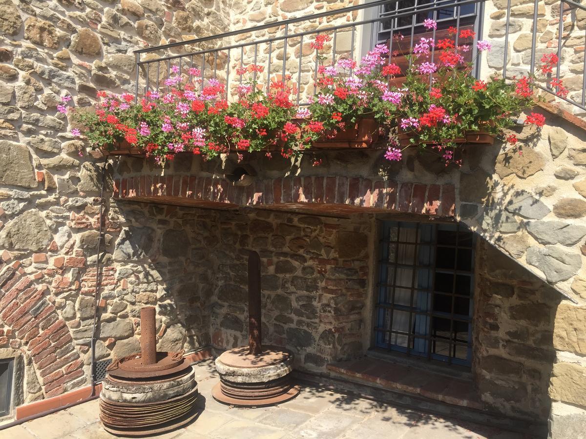 Podere Jana Antico Frantoio Vinci Exterior foto